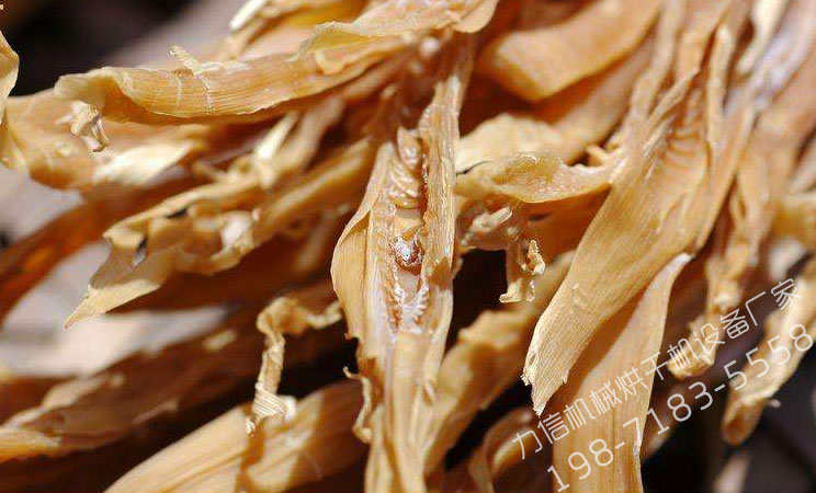 1572486291463237.jpg 竹筍2.jpg